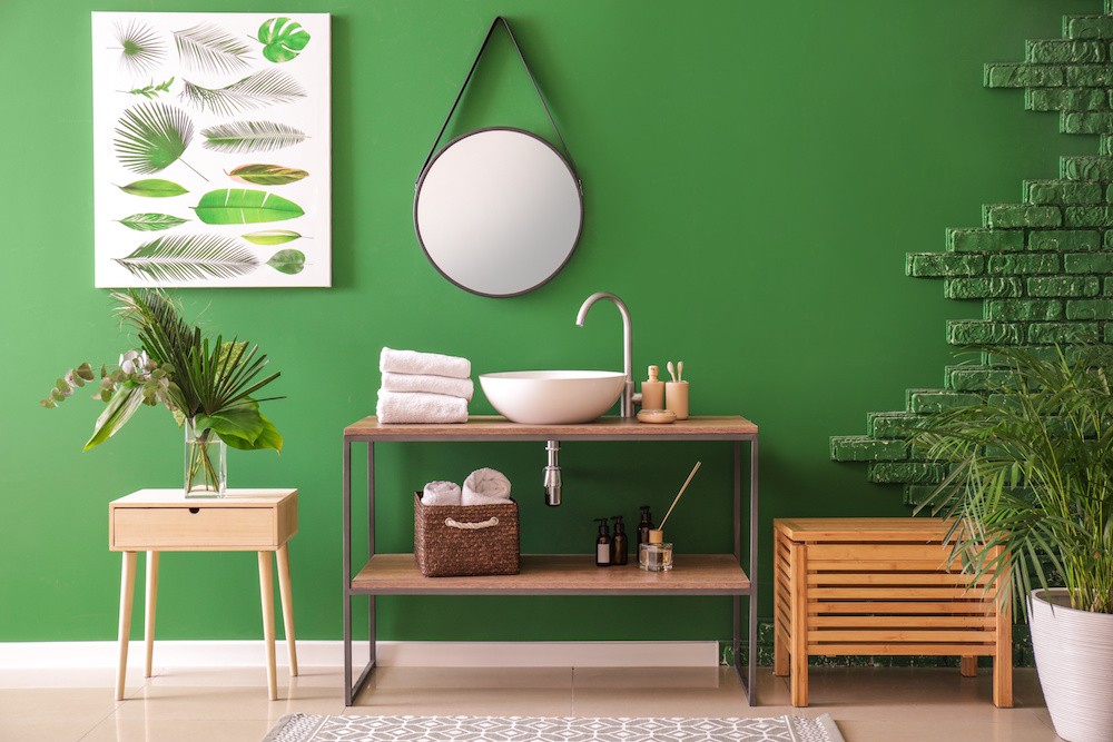 Quelle plante pour une salle de bain sans fenêtre ?