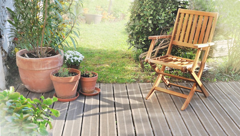 Quelle fleur pour mettre dans un grand pot extérieur ?