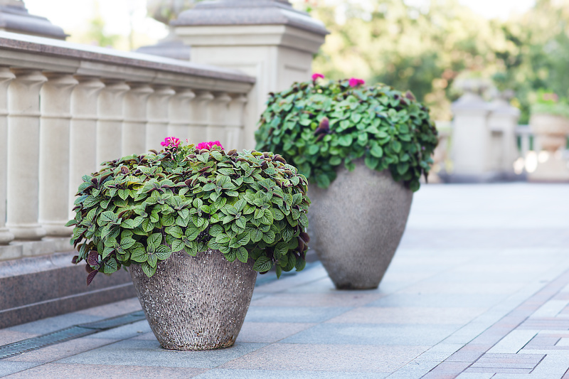 Comment disposer des pots sur une terrasse ?
