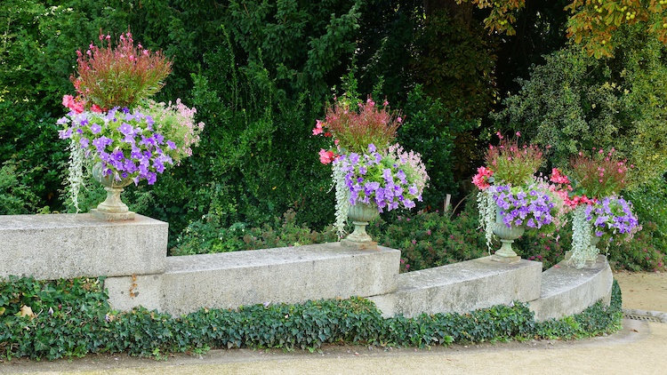 disposition pot de fleur par taille